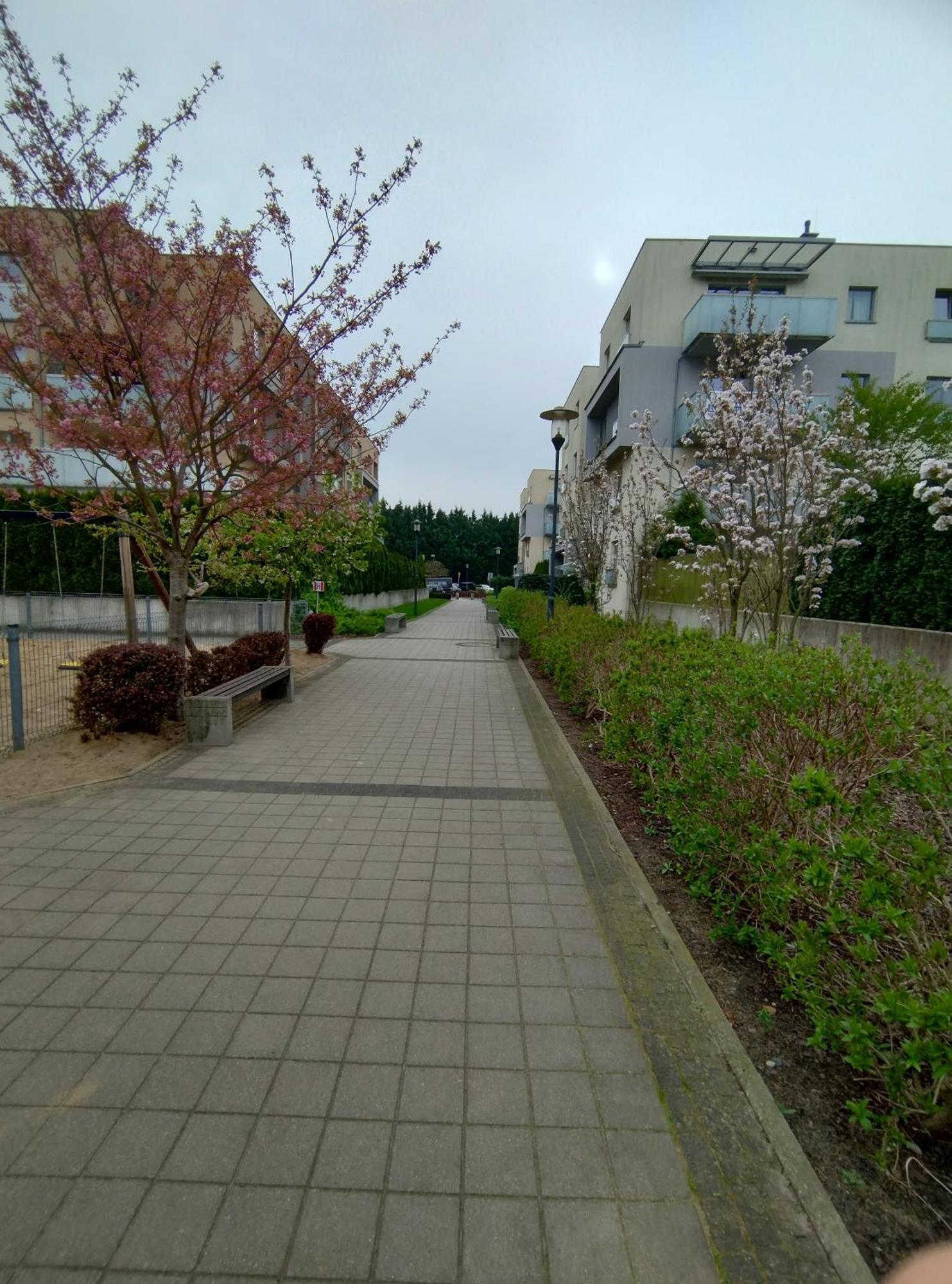 Apartament 1E Barbakan Щецин Экстерьер фото